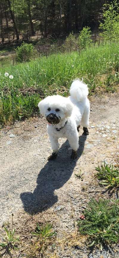 Hier ist der Spaßthread. Zum Schmunzeln und Kaputtlachen-Beitrag-Bild