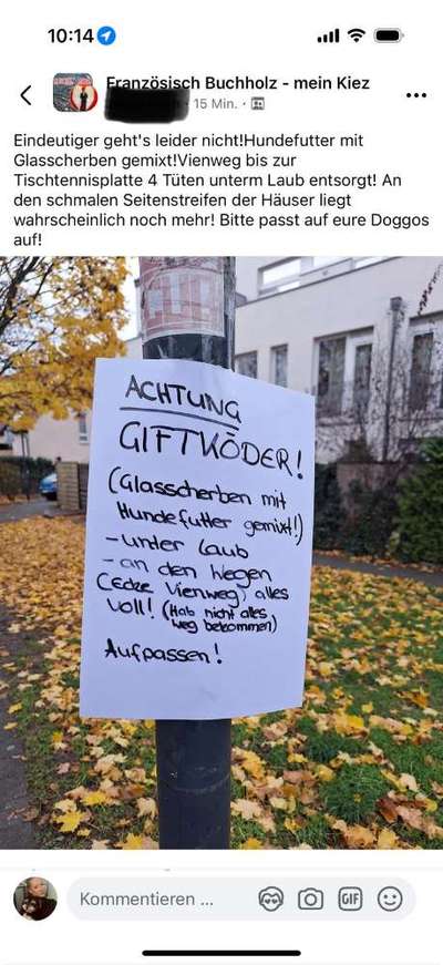 Giftköder-Futter mit Glasscherben unter Laub-Bild