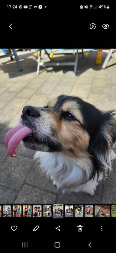 Handyfoto challenge Nr. 13: Waschlappen raus!-Beitrag-Bild