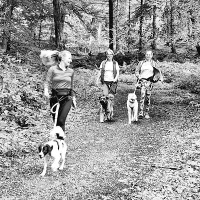 Weitere Unternehmen-LebeHund - Fitnesstraining für DICH mit deinem Hund-Bild