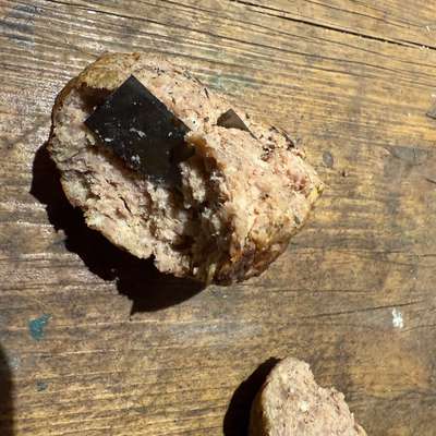 Giftköder-Giftköder-Bild