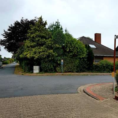 Giftköder-Aggressive Hunde kommen aus Grundstück!-Bild