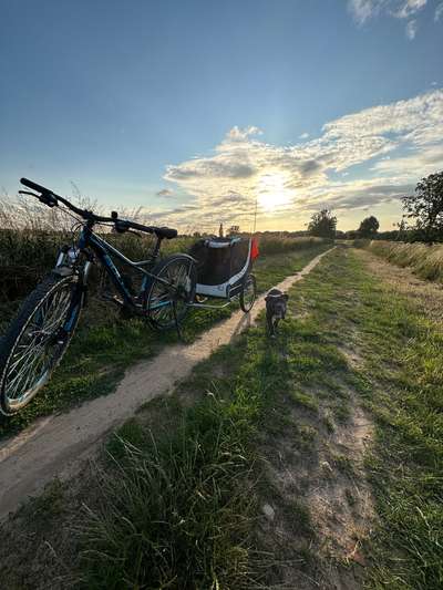 Hautausschlag-Beitrag-Bild