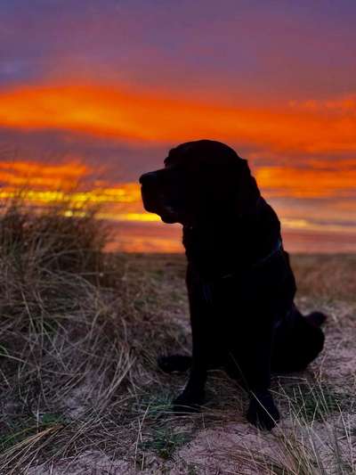 118. Fotochallange-Beitrag-Bild