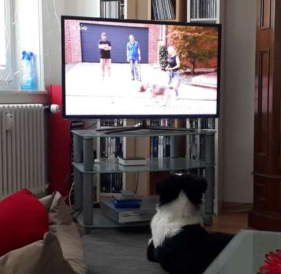 Dogorama Photo Challenge - Hunde in Action-Beitrag-Bild