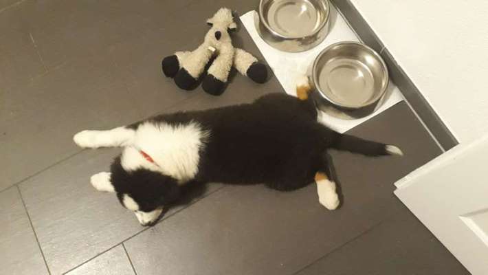 Foto Challenge Nr. 134-Beitrag-Bild