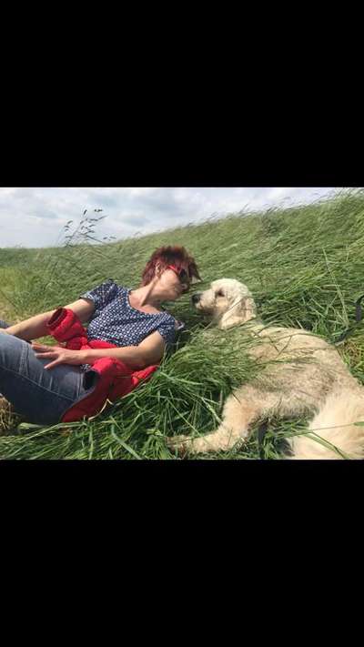 Die Dogorama Monats Challenge "Es grünt und blüht"-Beitrag-Bild