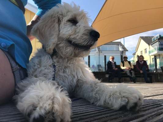 Das beste grinsefoto-Beitrag-Bild