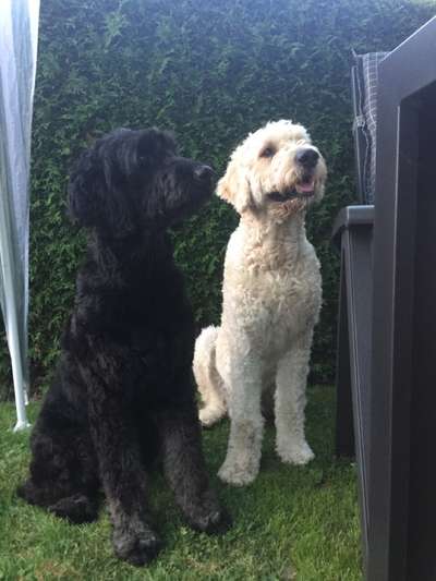 Fotochallenge 88-Beitrag-Bild