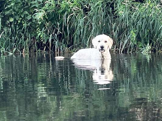 Fotochallenge Nr. 94 It's summer time-Beitrag-Bild