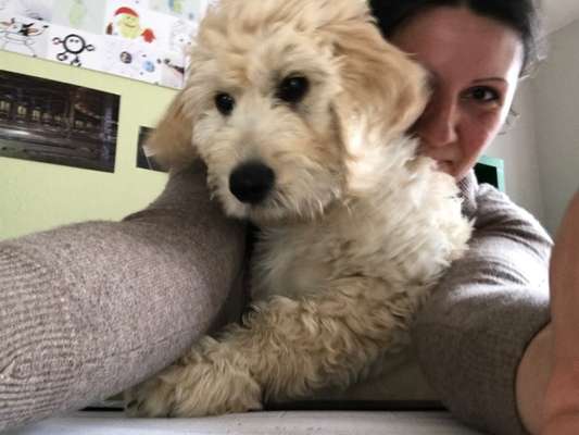 Handyfoto challenge Nr.7-Beitrag-Bild