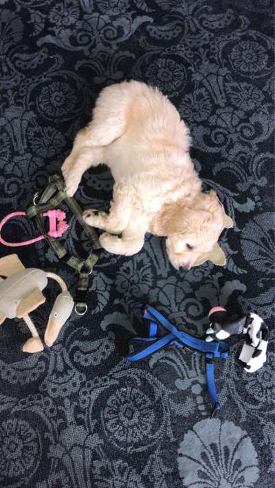 Fotochallange Nummer 5-Beitrag-Bild