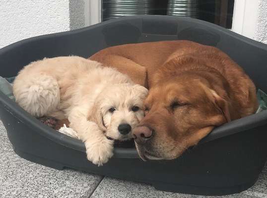 Challenge 30  Freundschaft-Beitrag-Bild