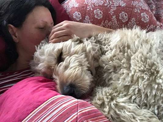 Dogorama Photo Challenge - Be my valentine-Beitrag-Bild