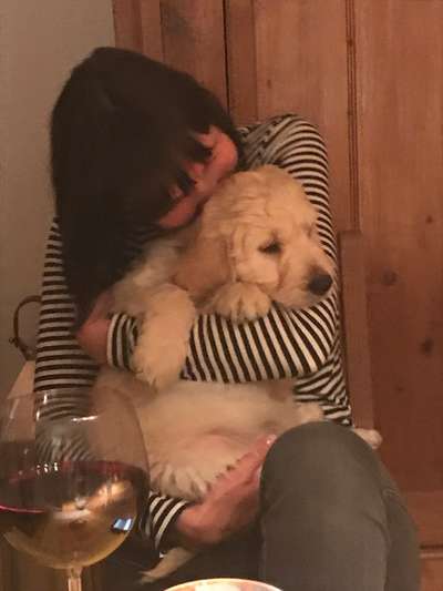 Hundmenschfotos-Beitrag-Bild