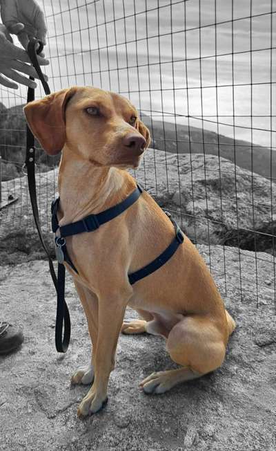 Austausch zur Fotografie-Beitrag-Bild