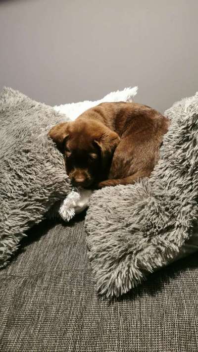 Die unbequemsten und lustigsten Schlafpositionen-Beitrag-Bild