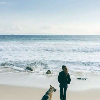 Hundetreffen-Social Walk, Spaß & Entspannung für Mensch und Hund - ungezwungen, relaxt,