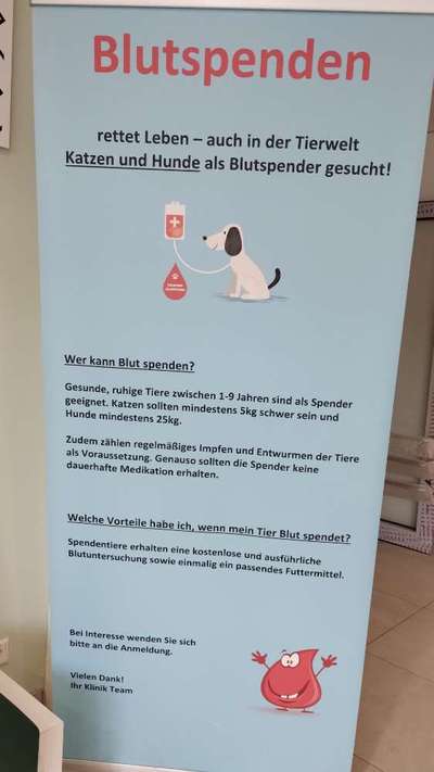 🩸🐾 Blut spenden? Ja. Aber bitte nicht mein Hund.-Beitrag-Bild