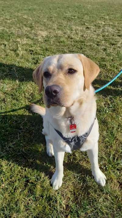 Dogorama Photo Challenge - Der Frühling kommt-Beitrag-Bild