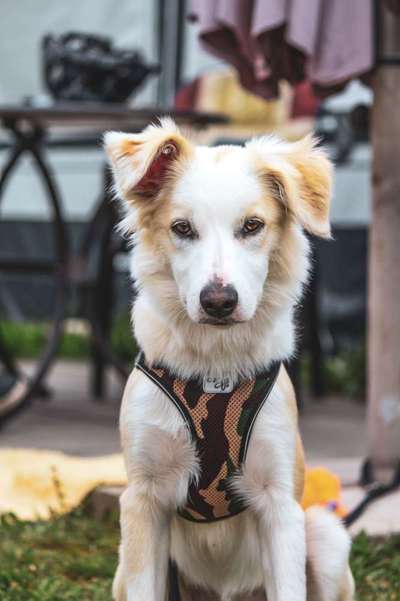 Fotochallange Nr. 57     PORTRÄT.   Beendet!!!!!!!!-Beitrag-Bild