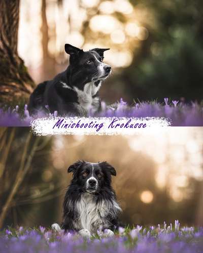 %{de_profession_title}-Shooting Aktionen-Bild