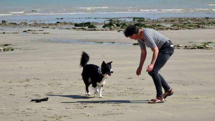 Bright side of life! Schönwetter-Thread-Beitrag-Bild