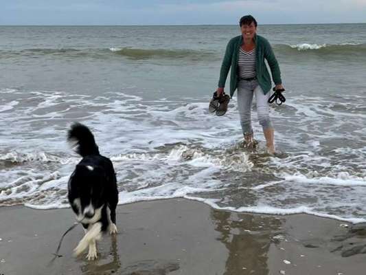 14. Handyfoto-Challenge: "BUDDY-Builder"-Beitrag-Bild