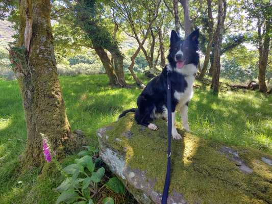 27. Handy Fotochallenge-Beitrag-Bild