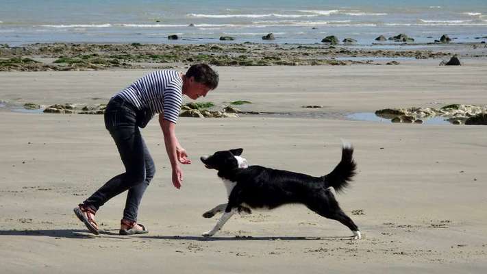 Bright side of life! Schönwetter-Thread-Beitrag-Bild