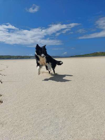 Urlaub in Schottland-Beitrag-Bild