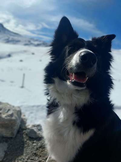 Fotochallenge Nr.122-Beitrag-Bild