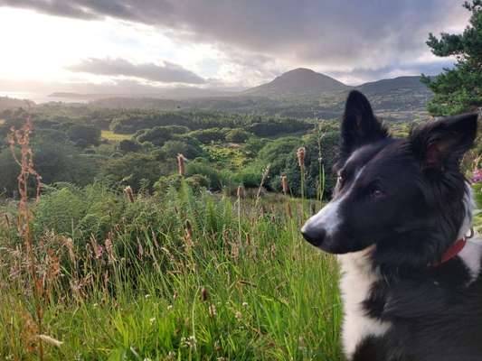 Theos  Fotochallenge Nummer 2-Beitrag-Bild