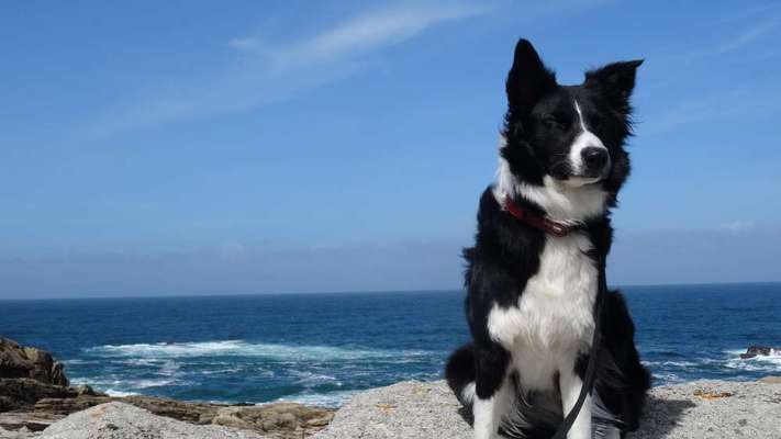 10. Farben Foto-Challenge ---- Blau-Beitrag-Bild