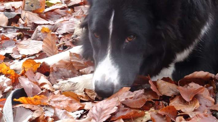 Foto Challenge Nr. 79-Beitrag-Bild