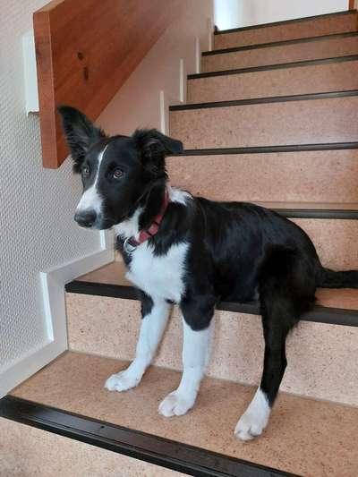 21. Handy-Foto-Challenge-Beitrag-Bild