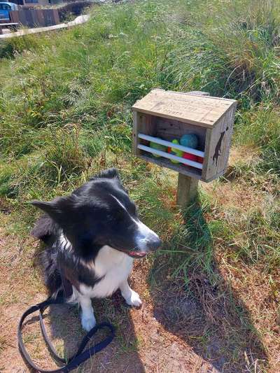 Urlaub in Schottland-Beitrag-Bild