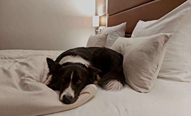 14. Farbenfoto-Challenge "Weiss"-Beitrag-Bild