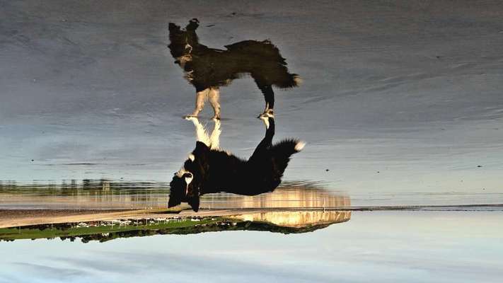 Fotochallenge Nr. 94 It's summer time-Beitrag-Bild