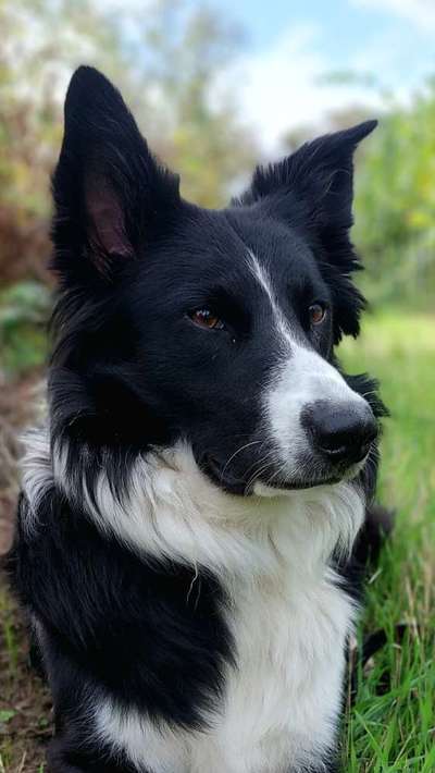 Zeigt eure Portraits-Beitrag-Bild