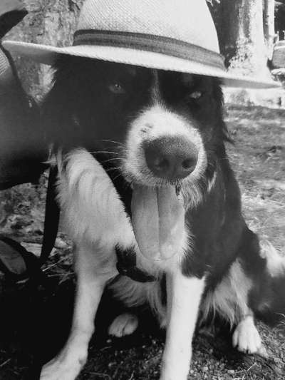 Foto-Challenge 76: Foto in Schwarz-Weiss-Beitrag-Bild