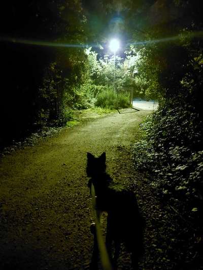 Dogorama Photo Challenge- Höhlen/Tunnel-Beitrag-Bild