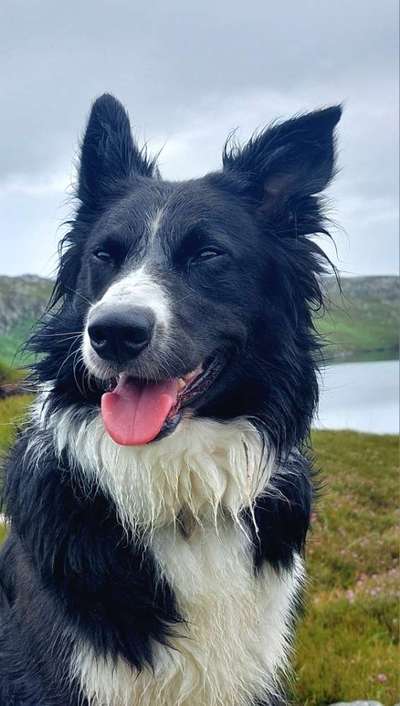 Urlaub in Schottland-Beitrag-Bild