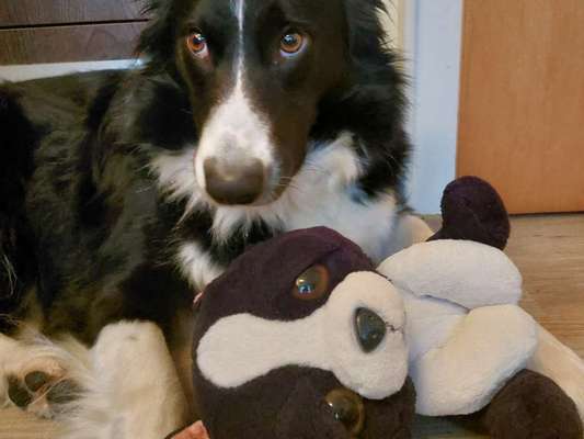 Fotochallenge 130-Beitrag-Bild