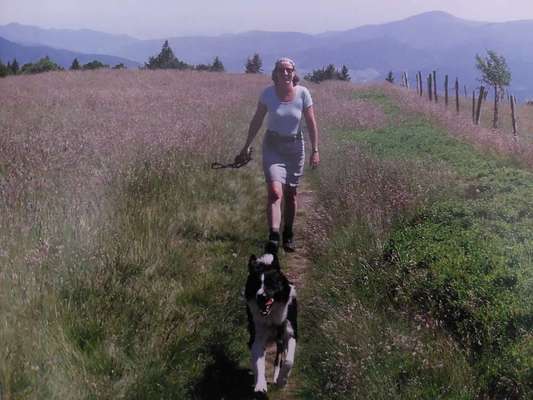 Dogorama Photo Challenge - Tierischer Urlaub-Beitrag-Bild