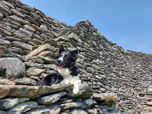 64. Handy Foto Challenge - Hoch hinaus-Beitrag-Bild