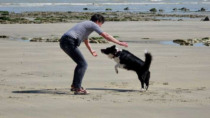 Bright side of life! Schönwetter-Thread-Beitrag-Bild