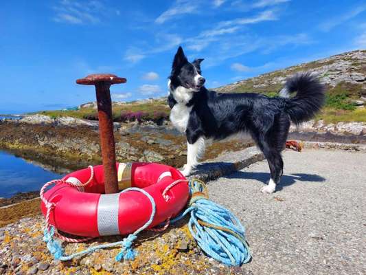 Theos Fotochallange Nummer 4-Beitrag-Bild