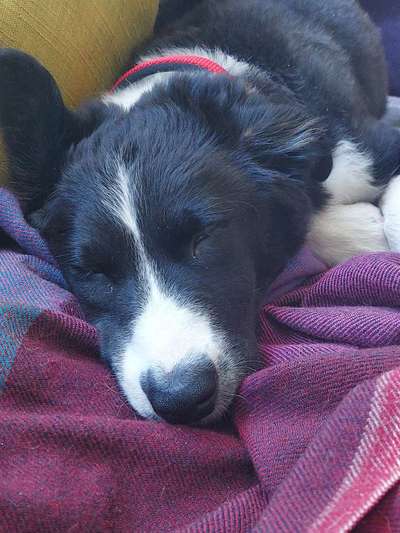 Foto Challenge Nr. 134-Beitrag-Bild