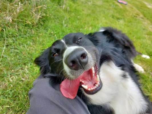 Fähre nach Irland-Beitrag-Bild